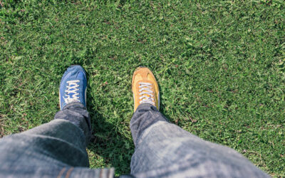 Descubre las diferencias entre el posicionamiento SEO y el SEM